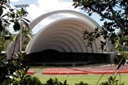 Waikiki Shell